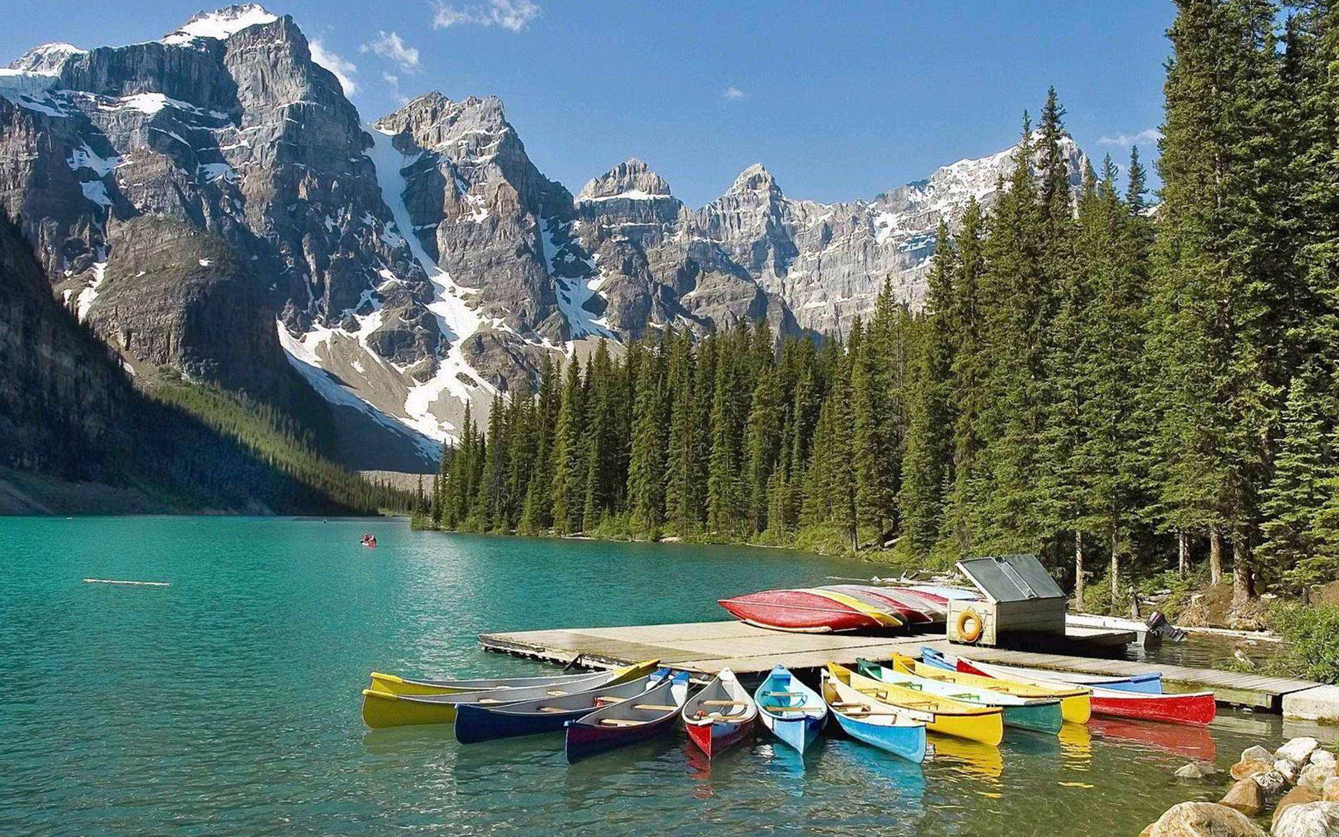 创业战略管理 (图1) 创业战略管理 (图1)