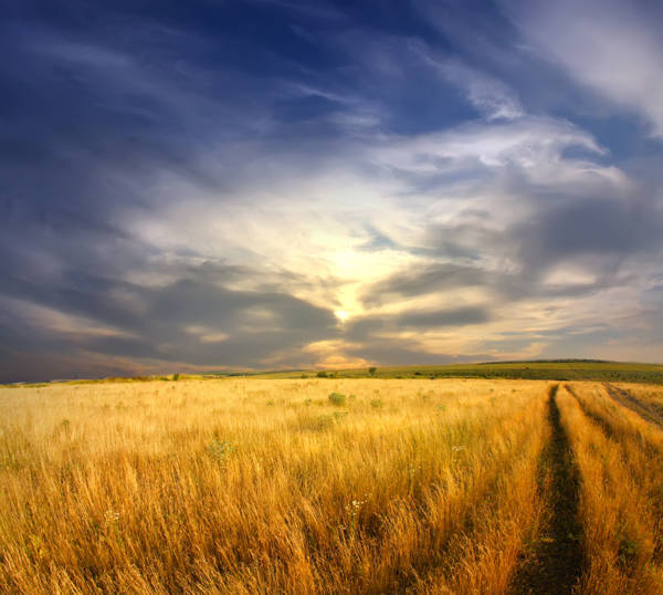 创业战略管理 (图2) 创业战略管理 (图2)