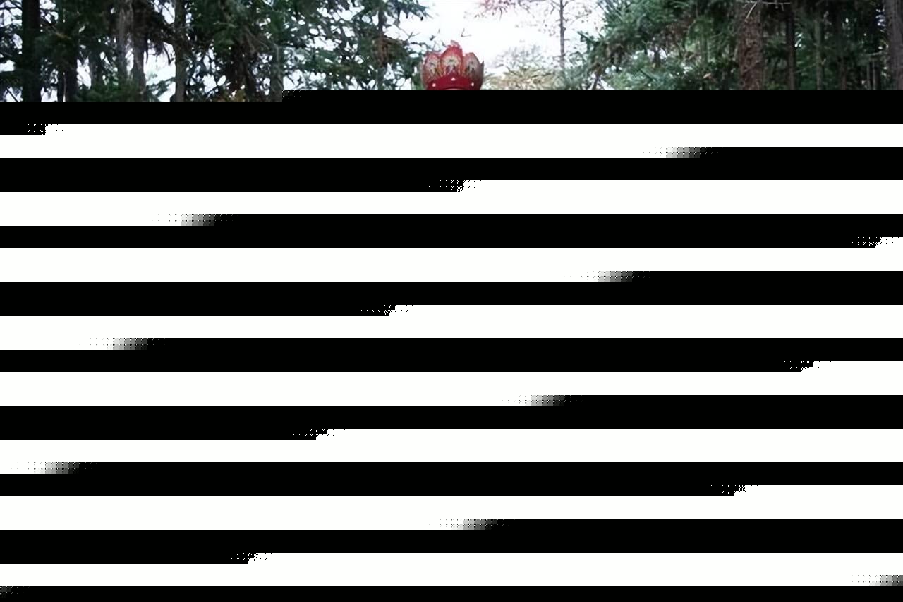 创业合伙不要选唐僧当老大 (图2)