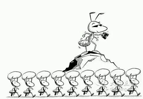 懒蚂蚁效应：一个人躺赢的最好方法，是学会偷懒！(图5)