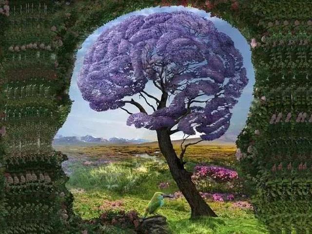 努力就能获得财富?错!这4种稀缺的思维,让你少跳大部分的坑(图2) 努力就能获得财富?错!这4种稀缺的思维,让你少跳大部分的坑(图2)