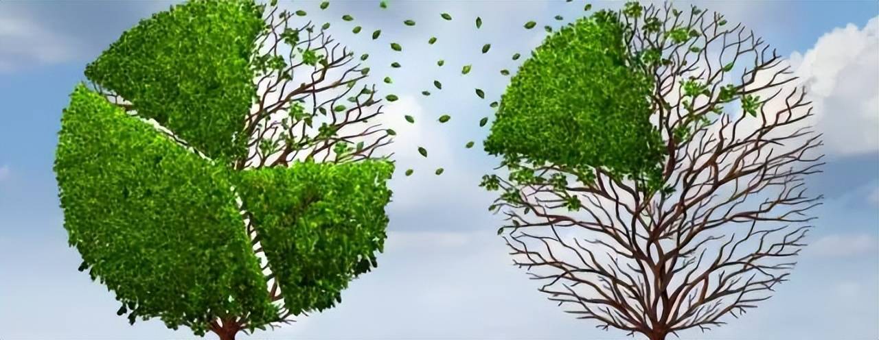 东莞股权咨询:公司股权分配七大实操建议(图1)