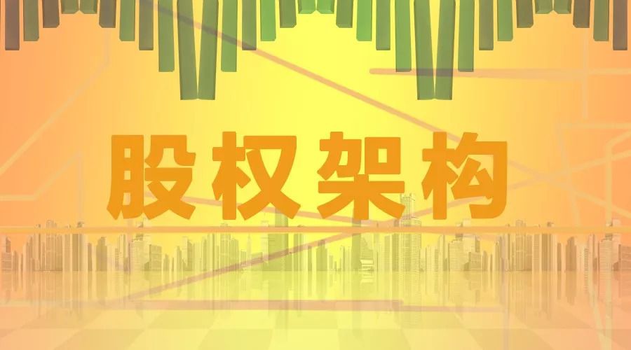 股东可以在公司中拥有哪些职位或角色?(图2) 74ca84f146574d81b9e4d793b626615d.jpeg