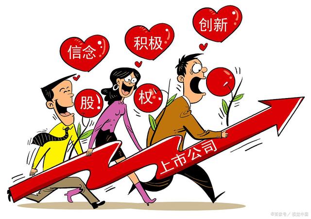 公司上市前原始股如何分配？(图4)